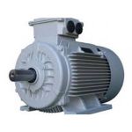 الکتروموتور زیمنس آلمان